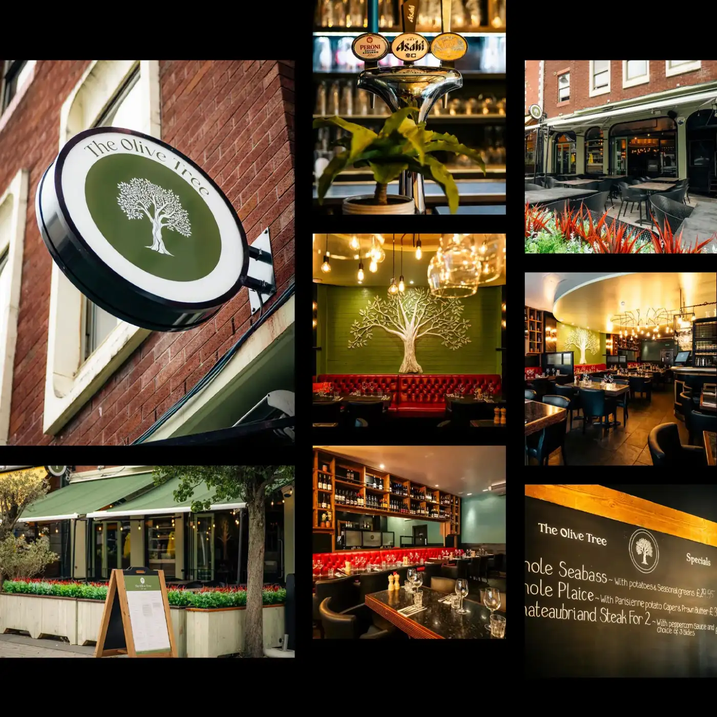 Olive Tree Southampton
